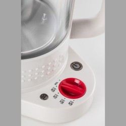 Електрическа Кана за Вода с Контрол на Температурата Bodum Bistro 1.1L