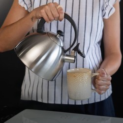 Кана за Вода Чайник от Неръждаема Стомана Florina Brillo 2.5L
