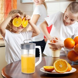 Кана за Смесване и Разбиване на Напитки с Бутало и Капак PEUTIER, 2L