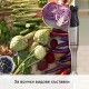 Пасатор с Интуитивно Управление Bosch MSM6M830 - 1200W, Инокс