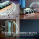 Вертикална Безкабелна Прахосмукачка със Станция Shark PowerDetect IP3253EUT, 380W
