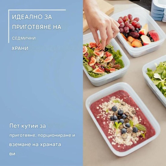 Комплект Кутии За Храна Emsa OneClick N1230900 - 5 Части, Сини