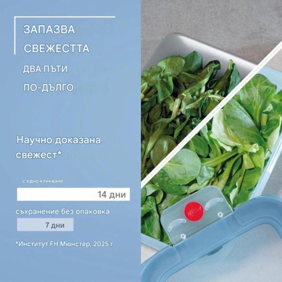 Комплект Кутии За Храна Emsa OneClick N1230900 - 5 Части, Сини