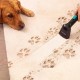 Перяща Прахосмукачка Cecotec Conga 6000 Carpet & Spot Clean XL Pro – 14 000Pa, Черна